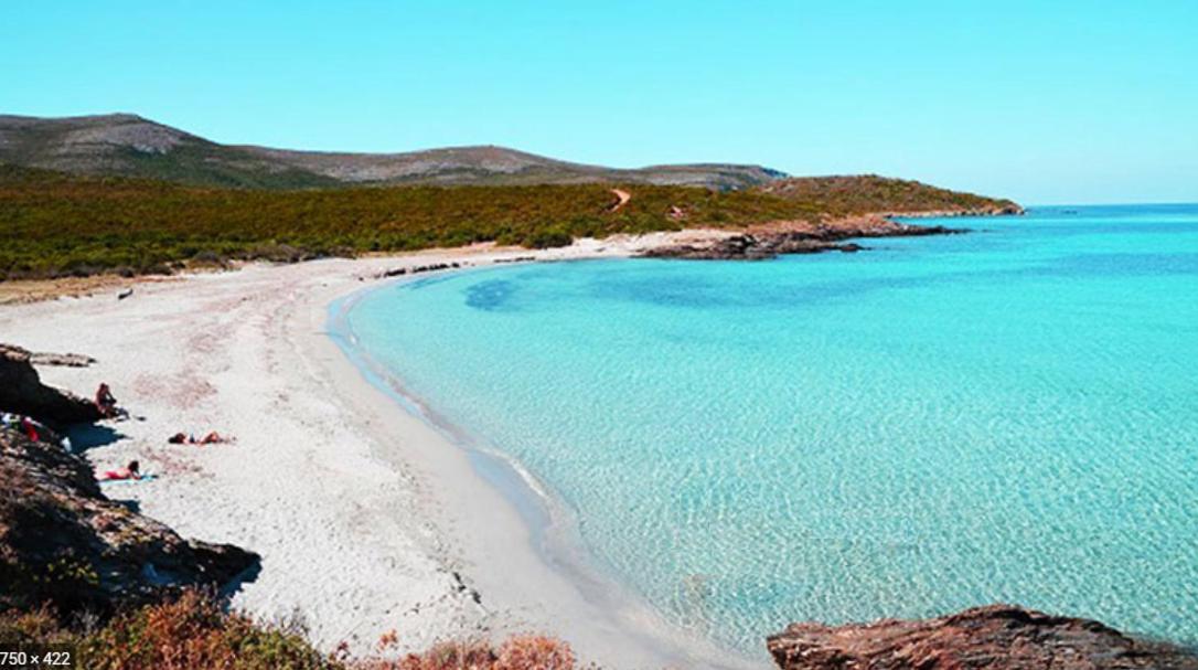 Coin De Paradis Vue Dominante Sur Mer, Montagne Et Tour Genoise Avec Jacuzzi Pino Buitenkant foto