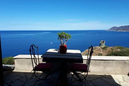 Coin De Paradis Vue Dominante Sur Mer, Montagne Et Tour Genoise Avec Jacuzzi Pino Buitenkant foto