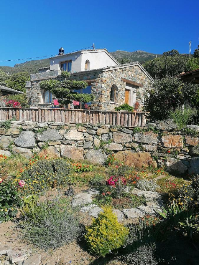 Coin De Paradis Vue Dominante Sur Mer, Montagne Et Tour Genoise Avec Jacuzzi Pino Buitenkant foto
