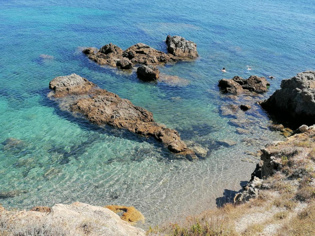 Coin De Paradis Vue Dominante Sur Mer, Montagne Et Tour Genoise Avec Jacuzzi Pino Buitenkant foto