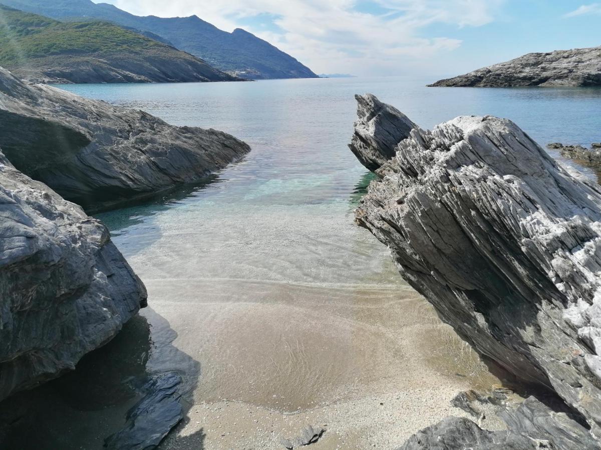 Coin De Paradis Vue Dominante Sur Mer, Montagne Et Tour Genoise Avec Jacuzzi Pino Buitenkant foto