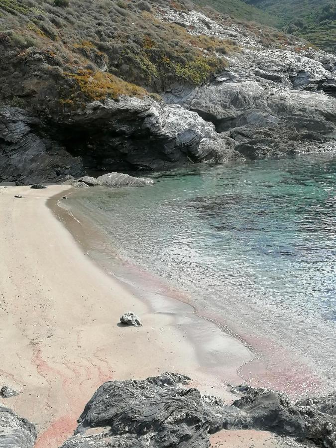 Coin De Paradis Vue Dominante Sur Mer, Montagne Et Tour Genoise Avec Jacuzzi Pino Buitenkant foto