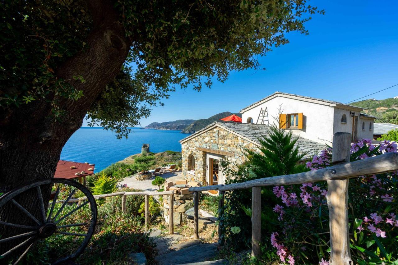 Coin De Paradis Vue Dominante Sur Mer, Montagne Et Tour Genoise Avec Jacuzzi Pino Buitenkant foto