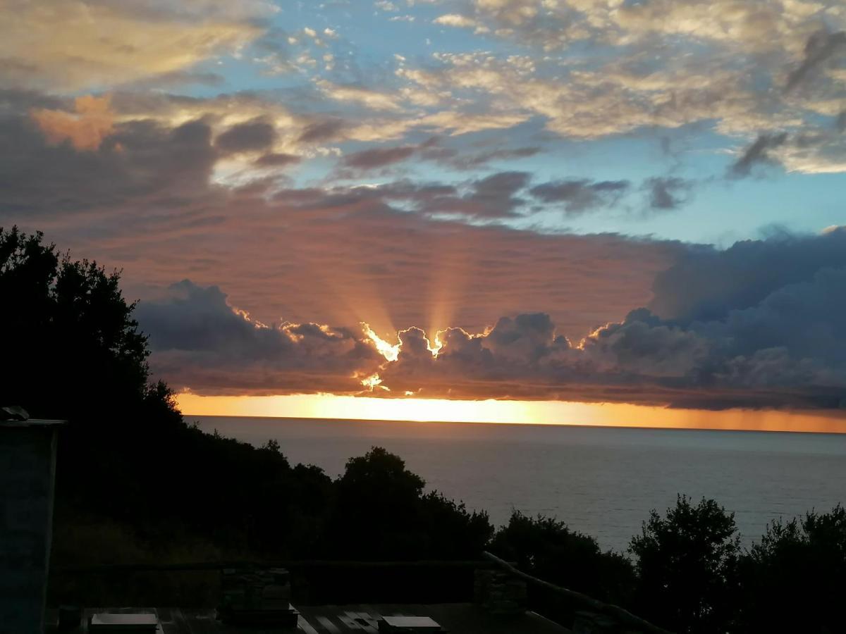 Coin De Paradis Vue Dominante Sur Mer, Montagne Et Tour Genoise Avec Jacuzzi Pino Buitenkant foto