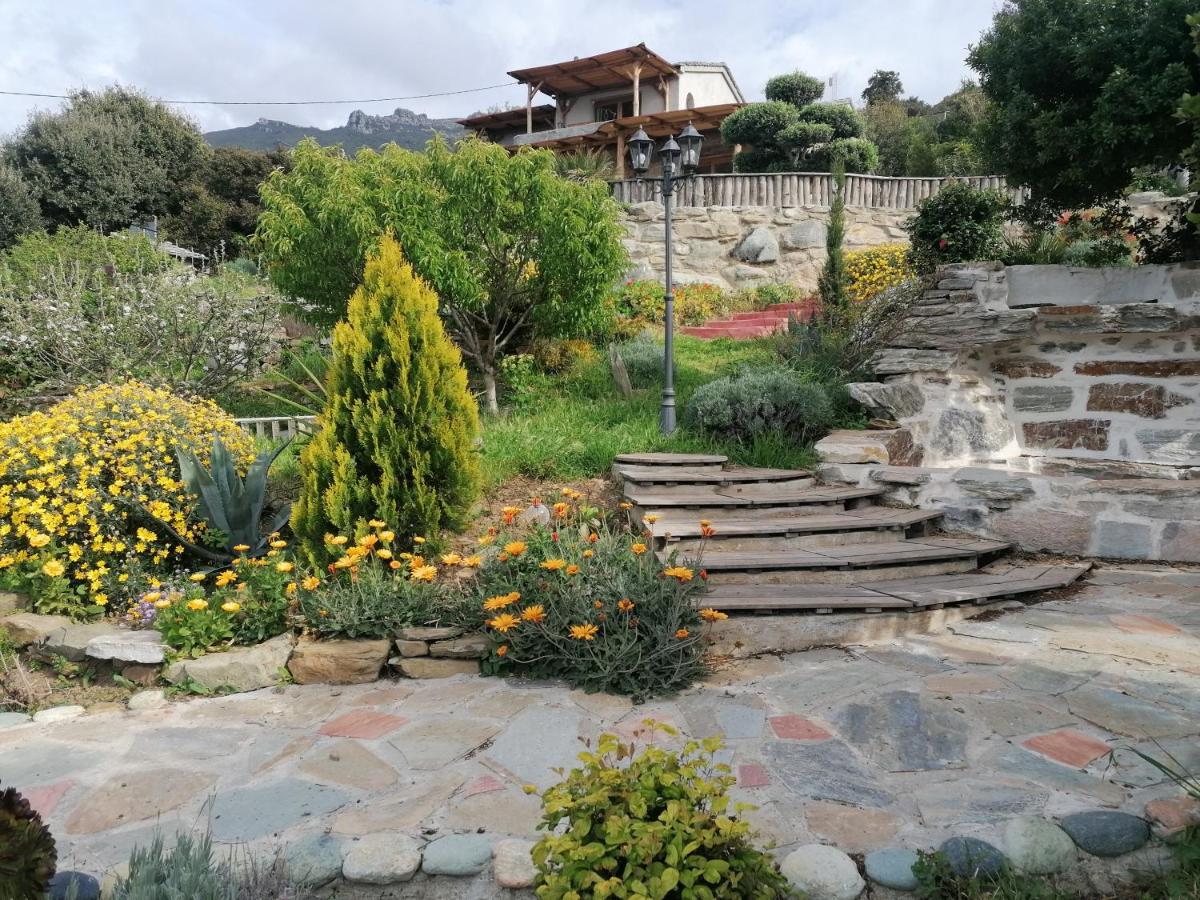 Coin De Paradis Vue Dominante Sur Mer, Montagne Et Tour Genoise Avec Jacuzzi Pino Buitenkant foto